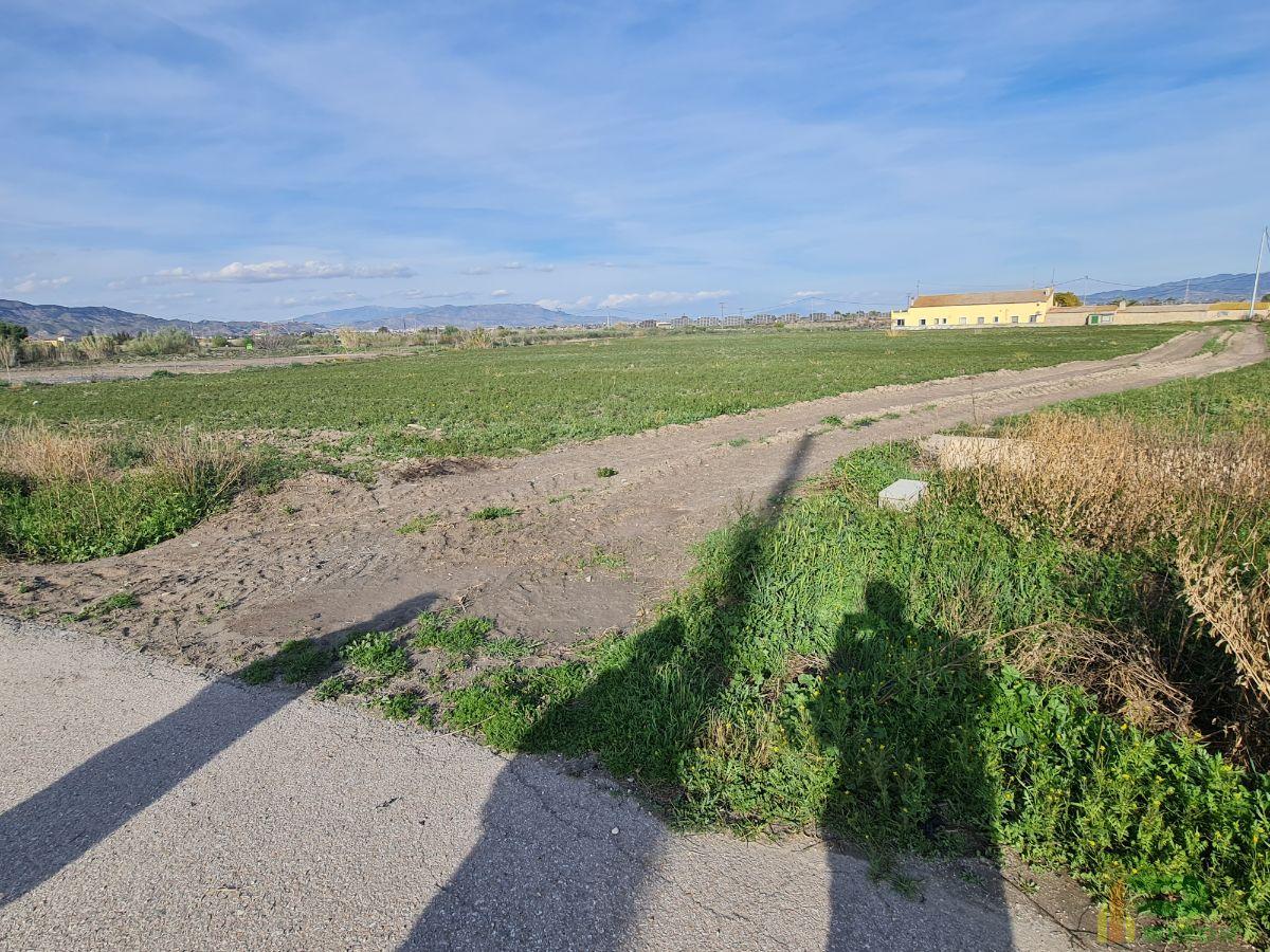 For sale of land in Lorca