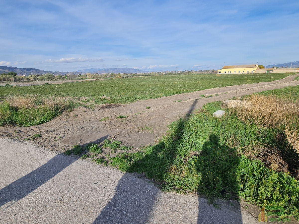 For sale of land in Lorca