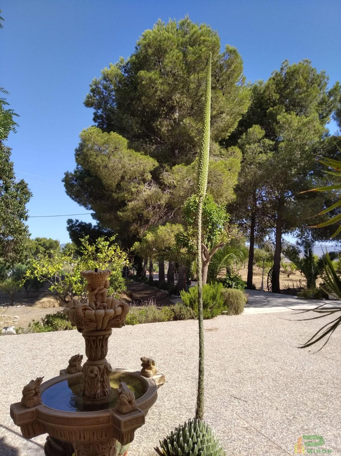 Venta de casa en La Hoya de Lorca