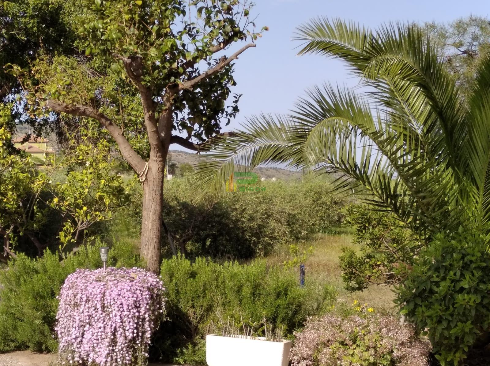 Venta de casa en La Hoya de Lorca