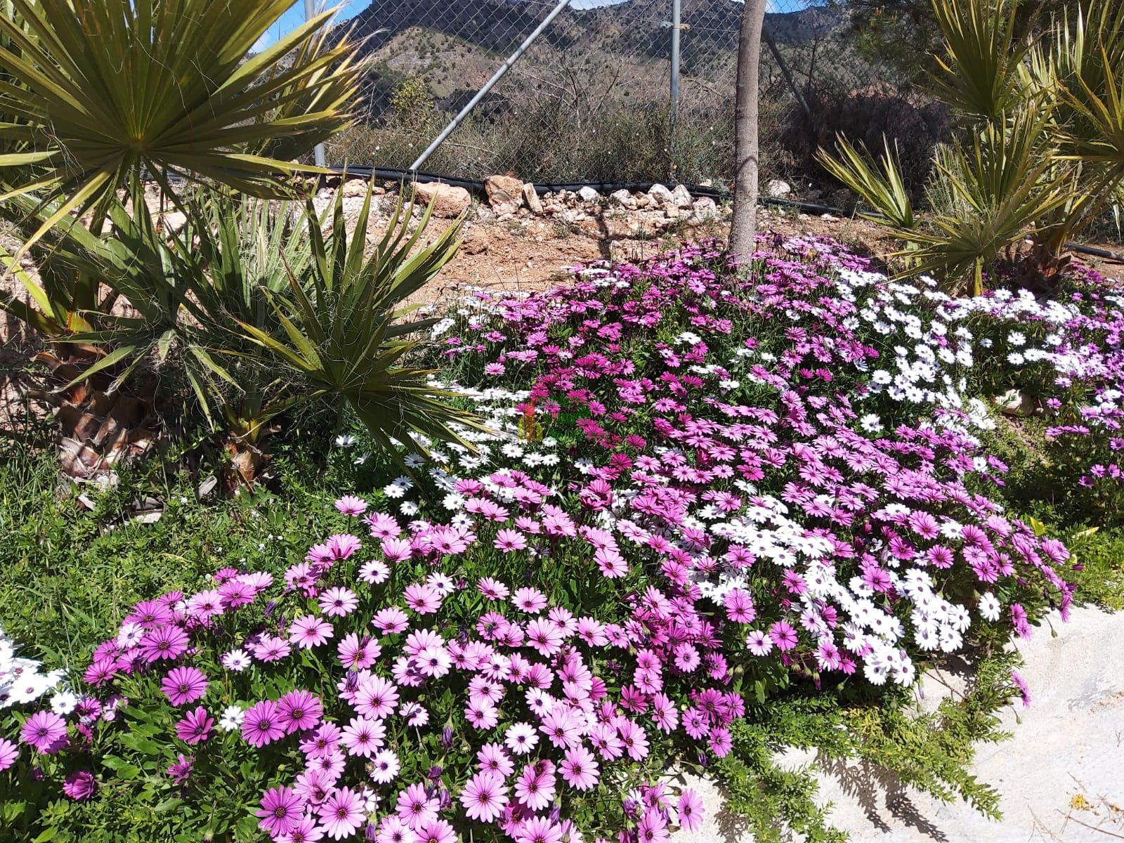 Venta de casa en La Hoya de Lorca