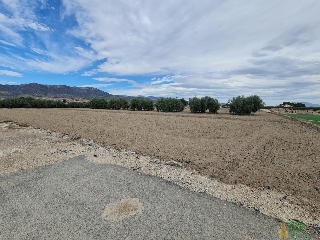 For sale of land in Lorca