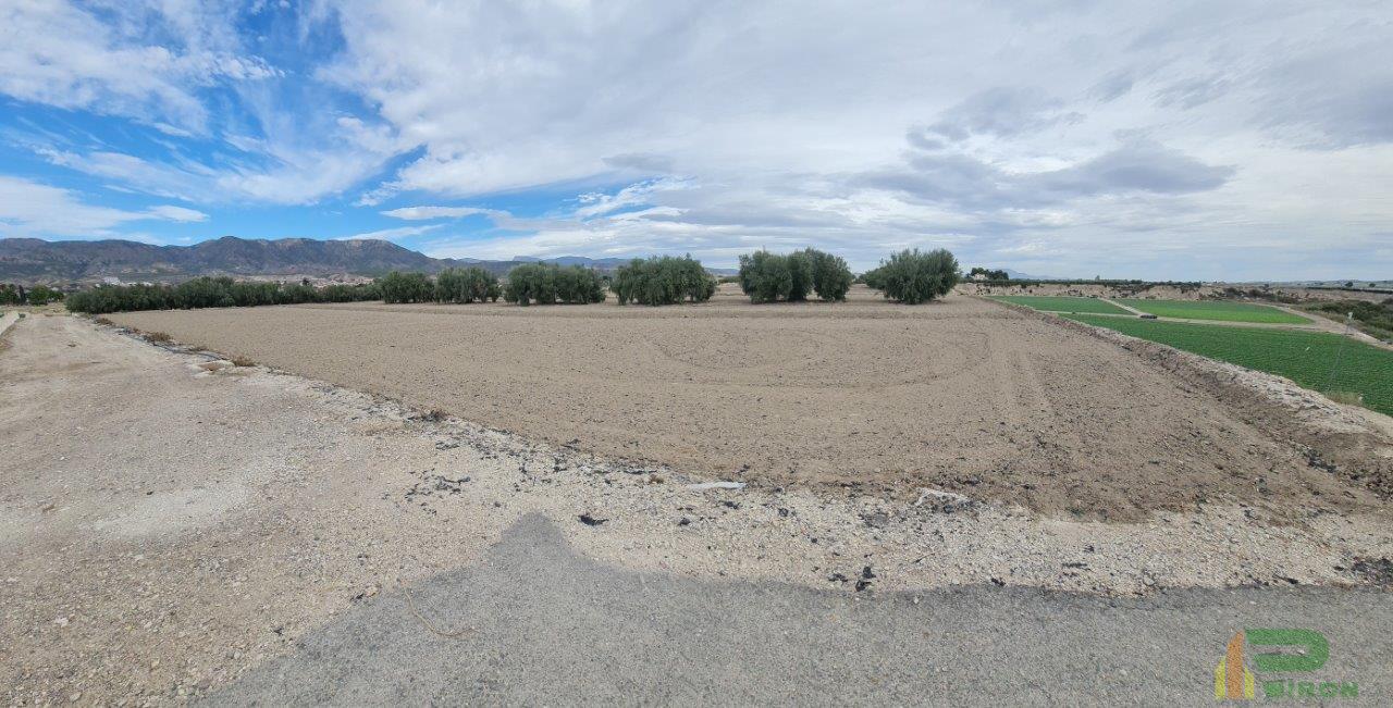 Venta de terreno en Lorca