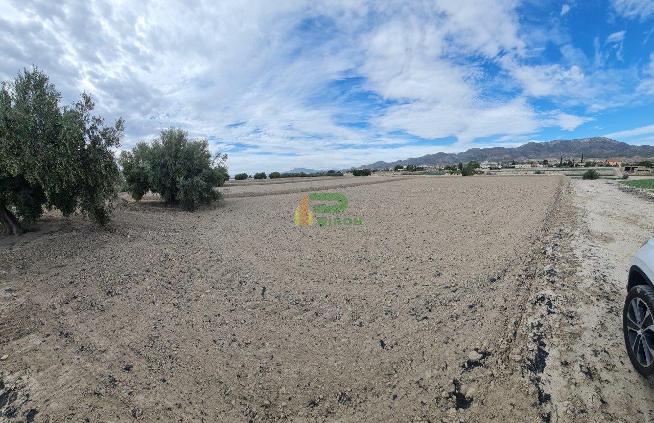 For sale of land in Lorca