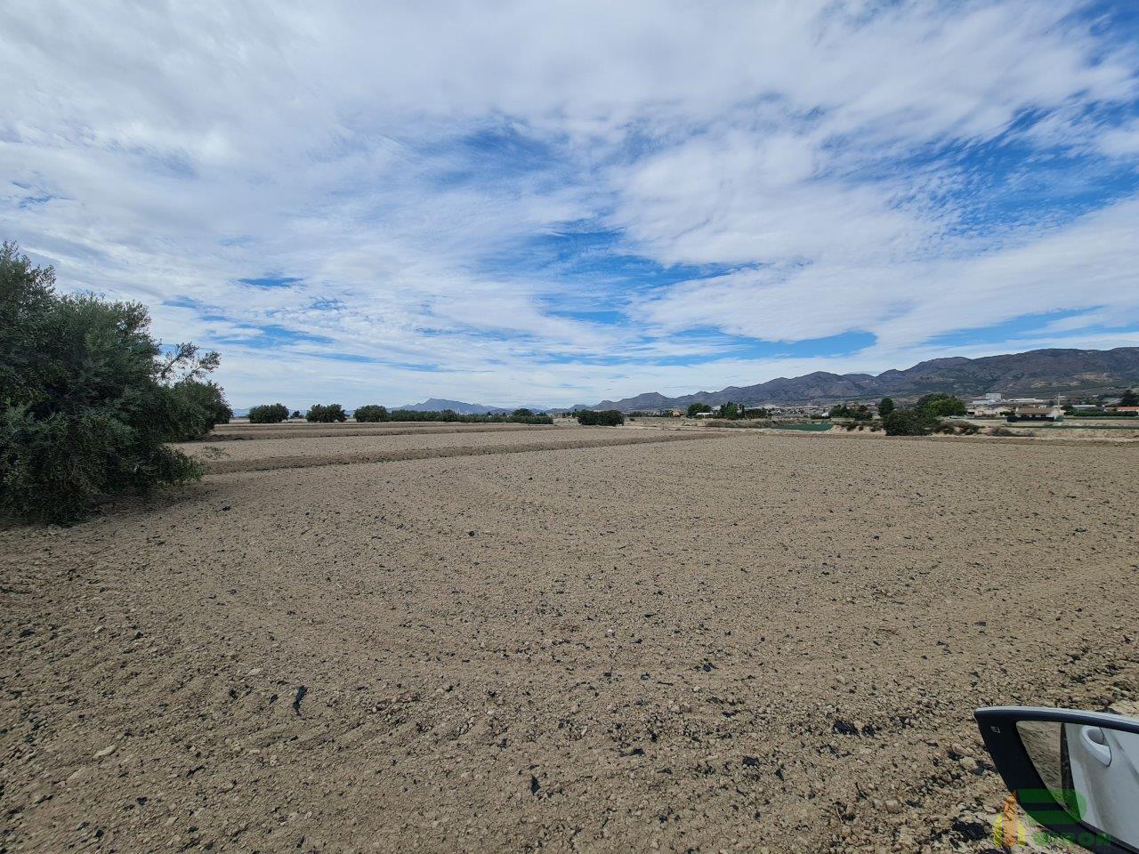 For sale of land in Lorca