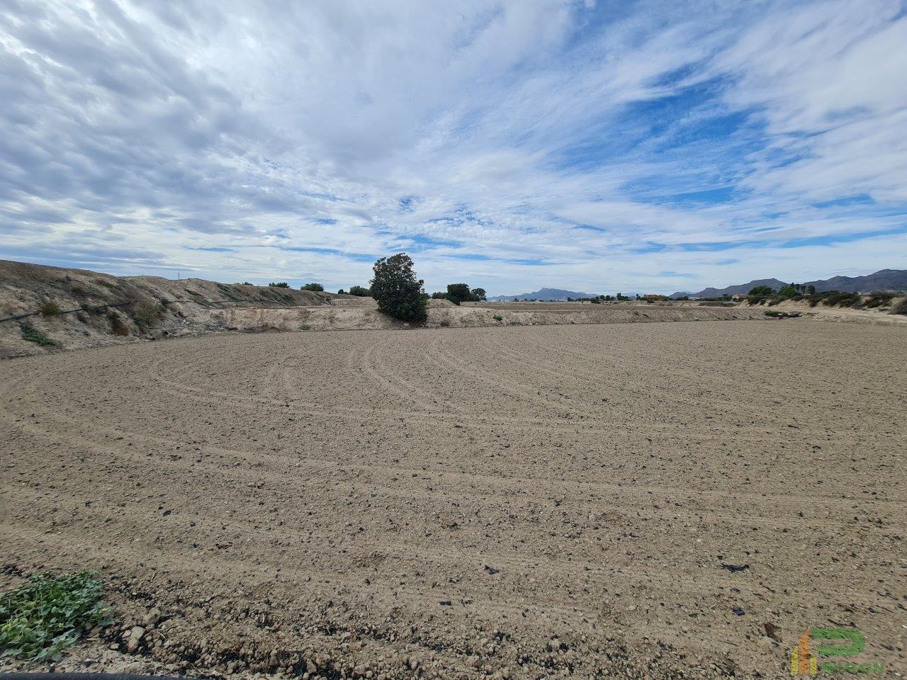 Venta de terreno en Lorca