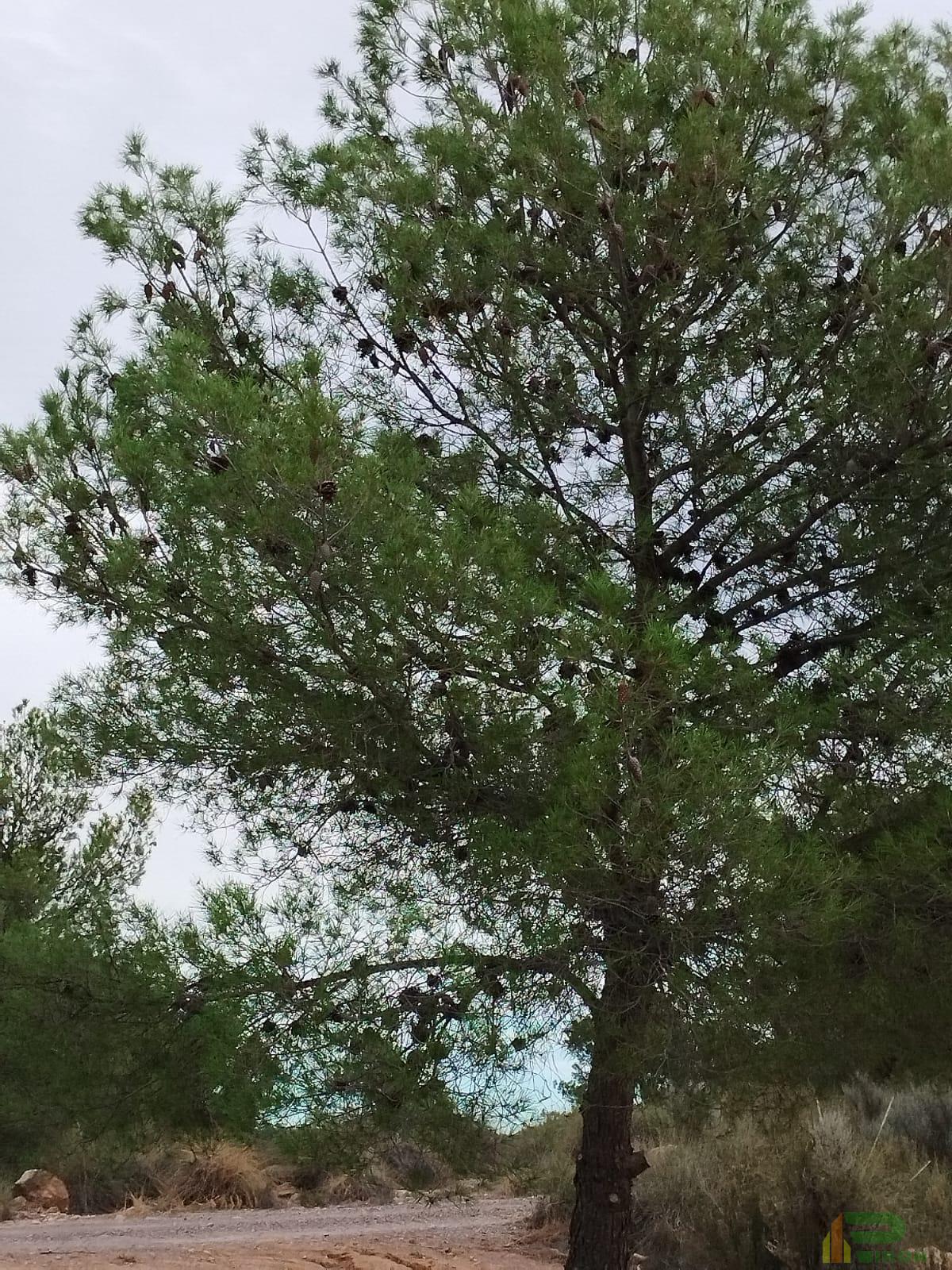 Surroundings
