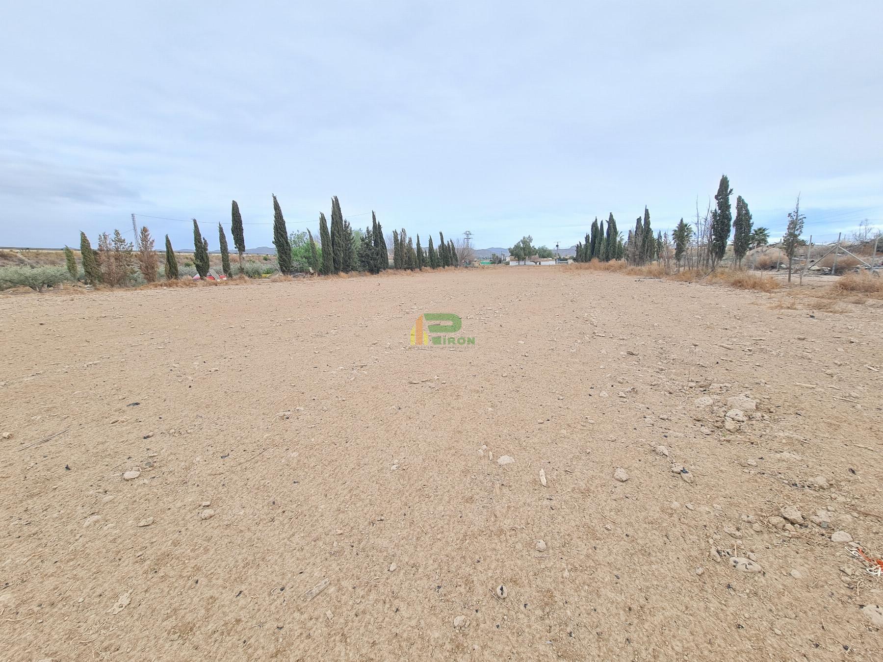 Ground