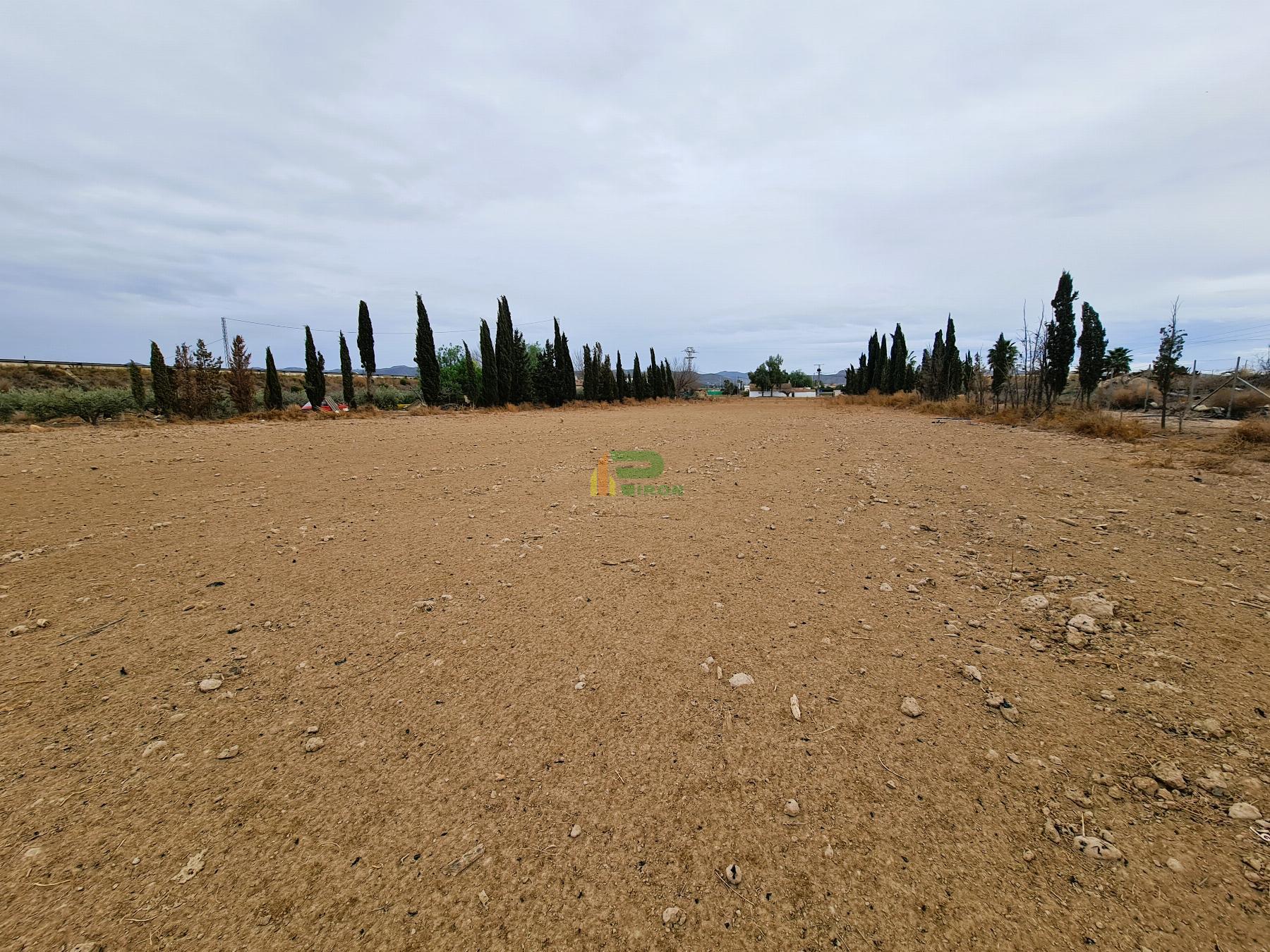 Ground