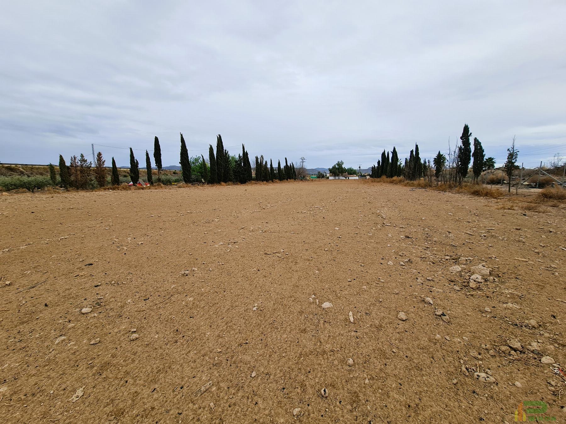 For sale of land in Lorca