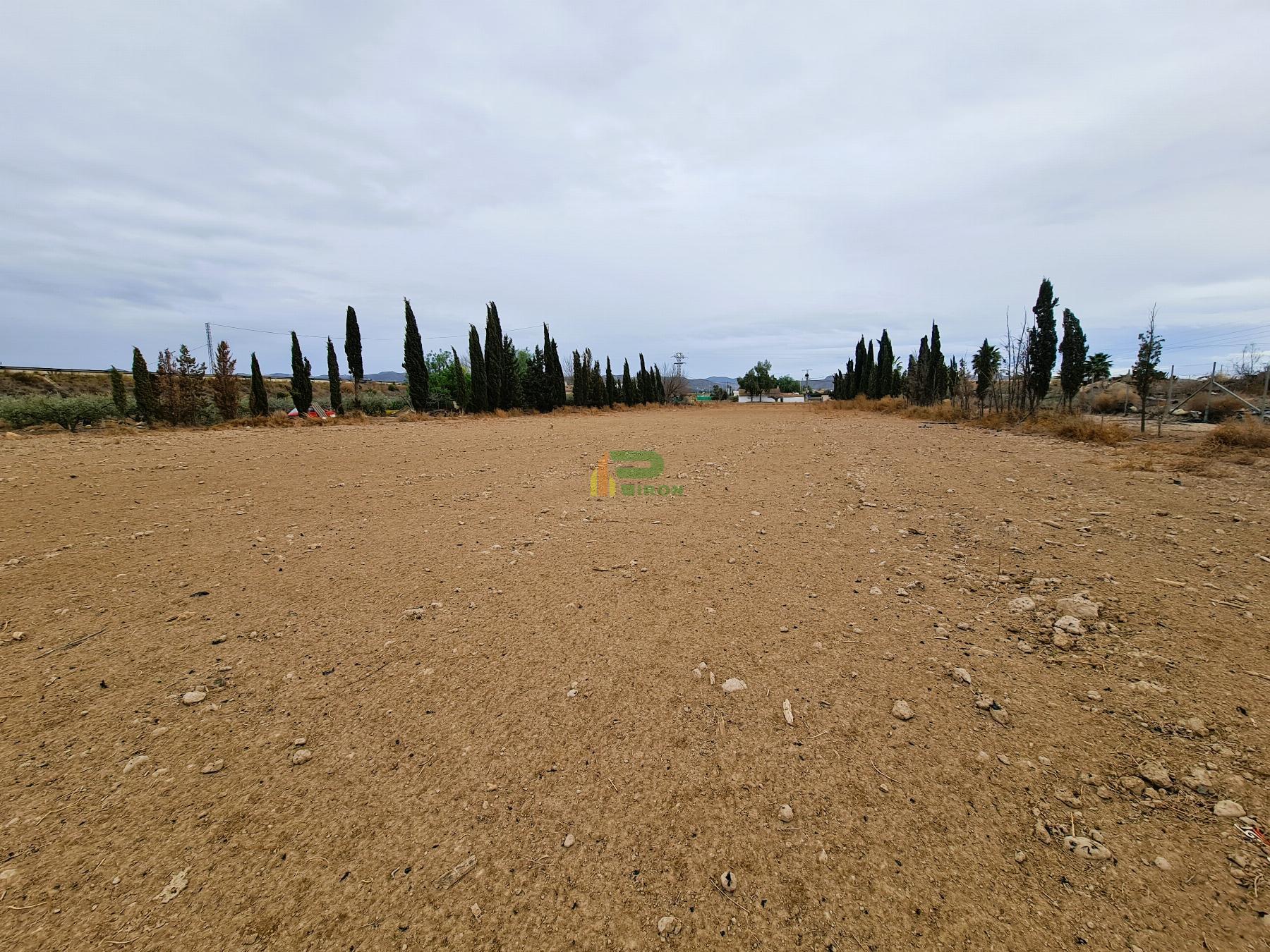 Venta de terreno en Lorca Venta de terreno en Lorca