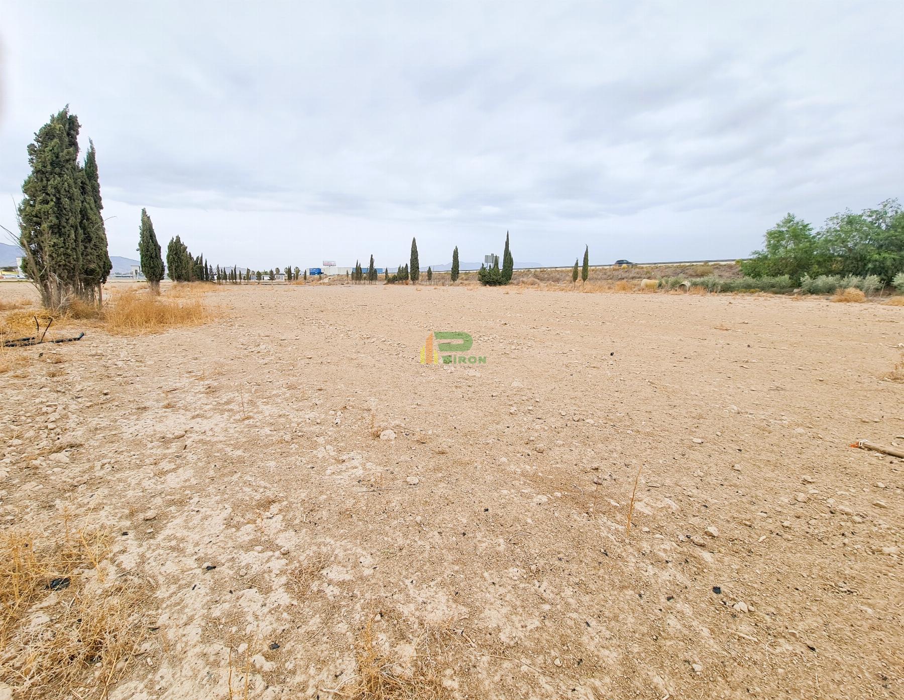 For sale of land in Lorca