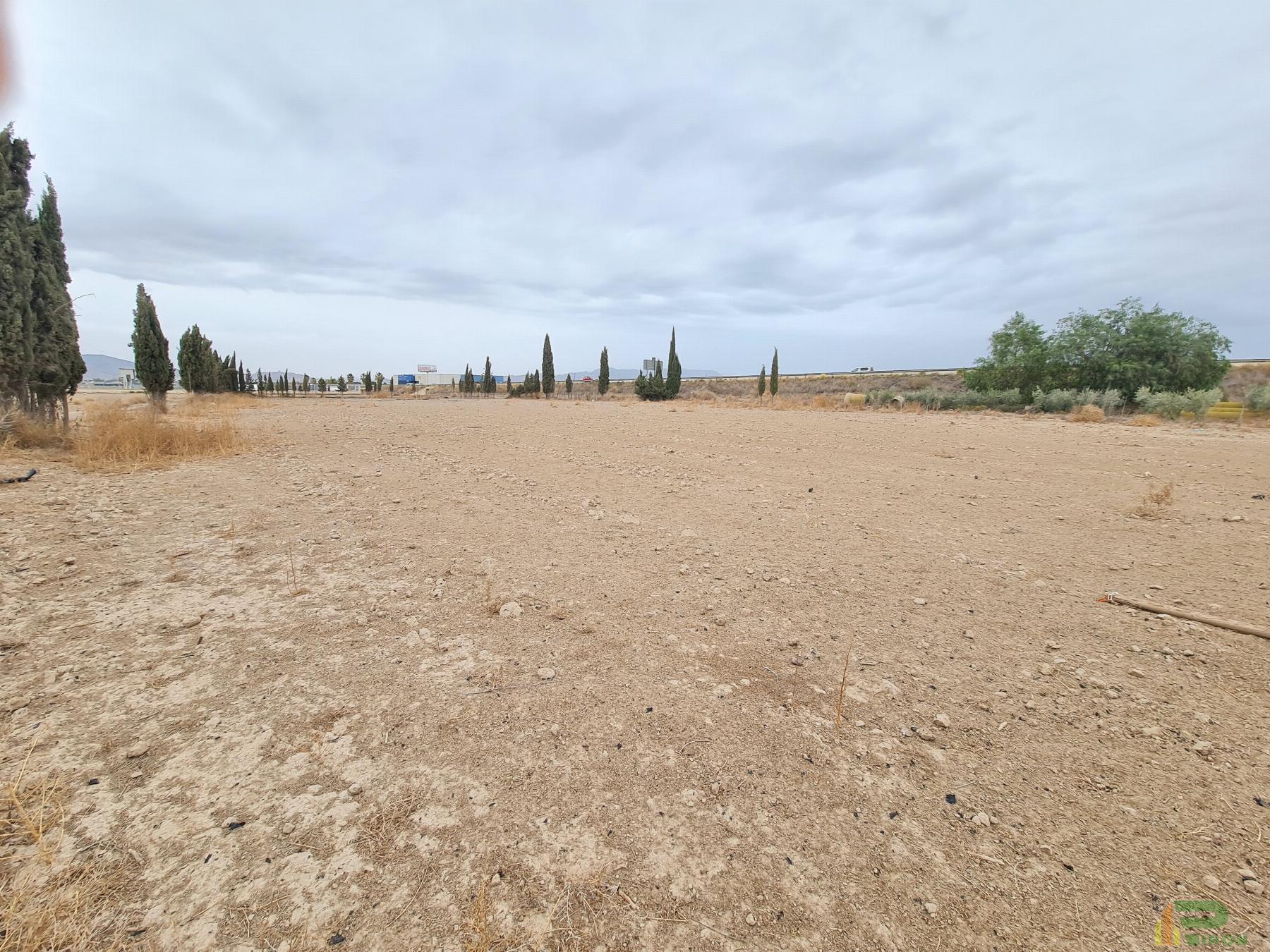 For sale of land in Lorca