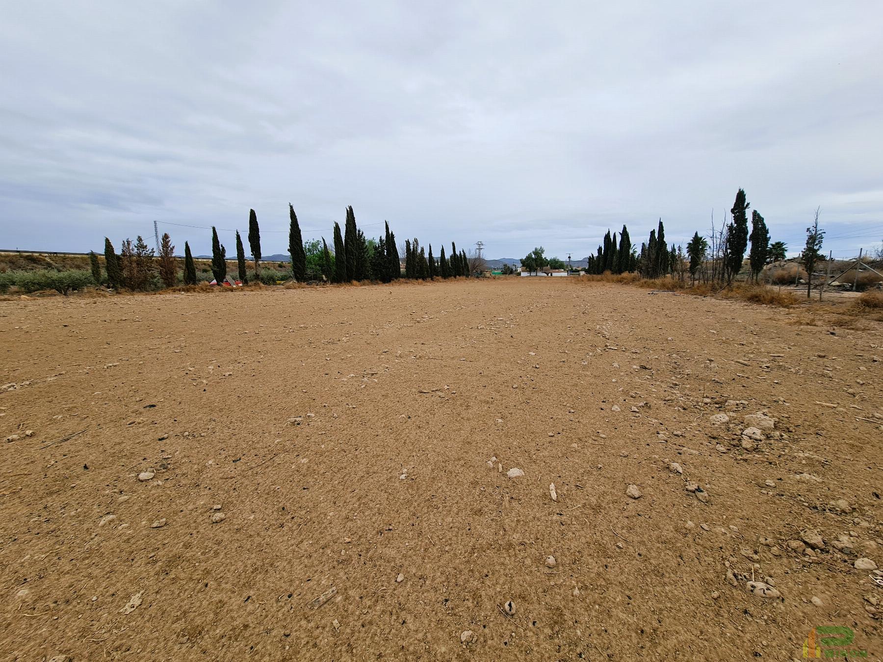 Venta de terreno en Lorca