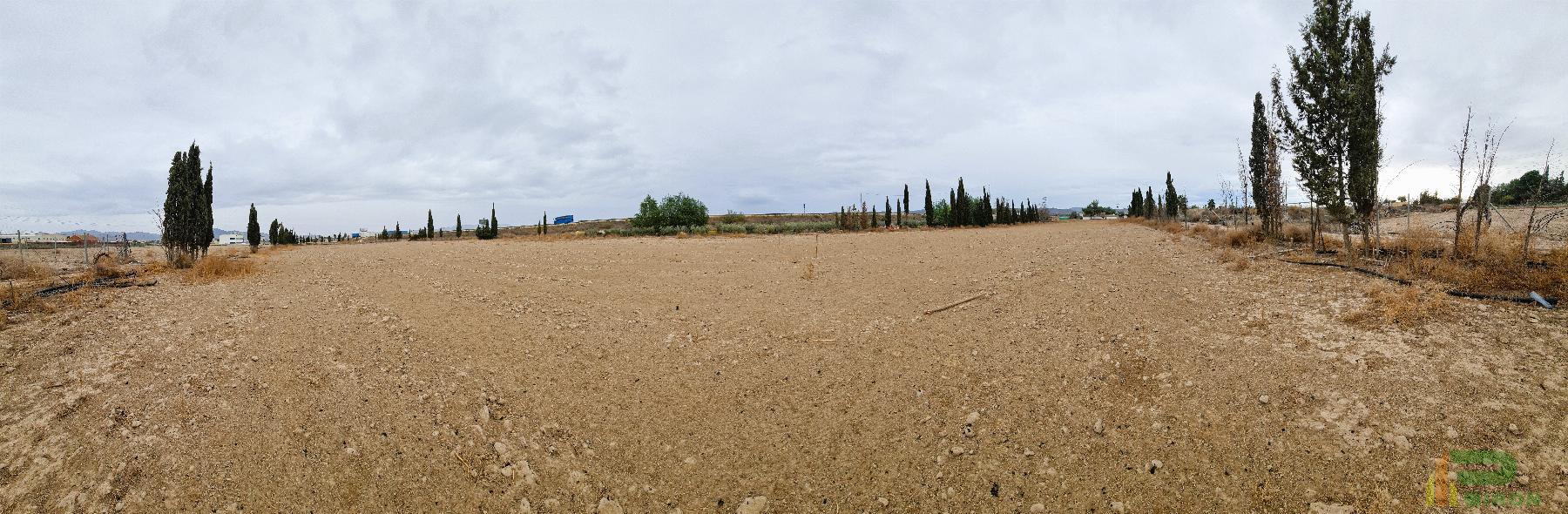 For sale of land in Lorca