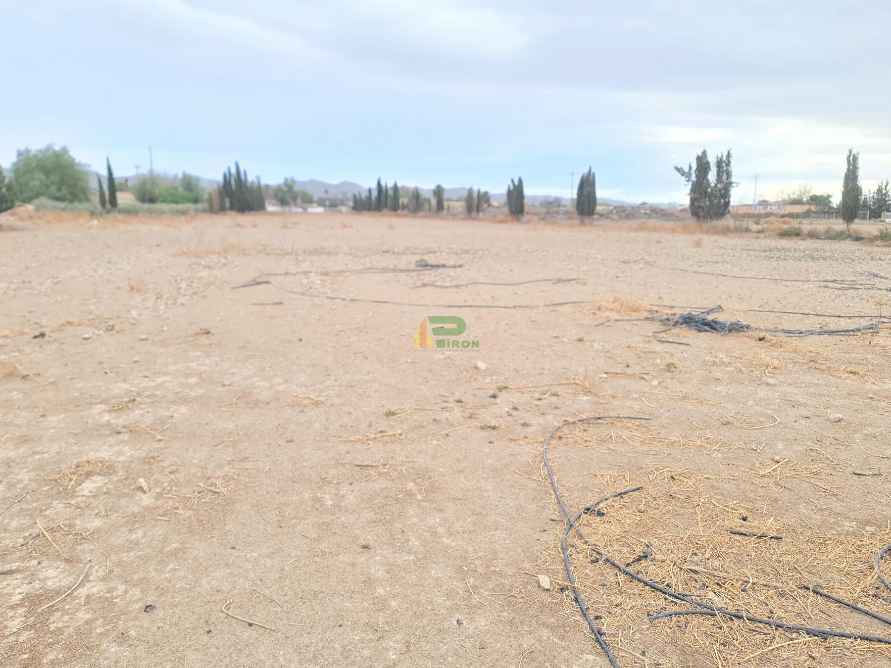 For sale of land in Lorca