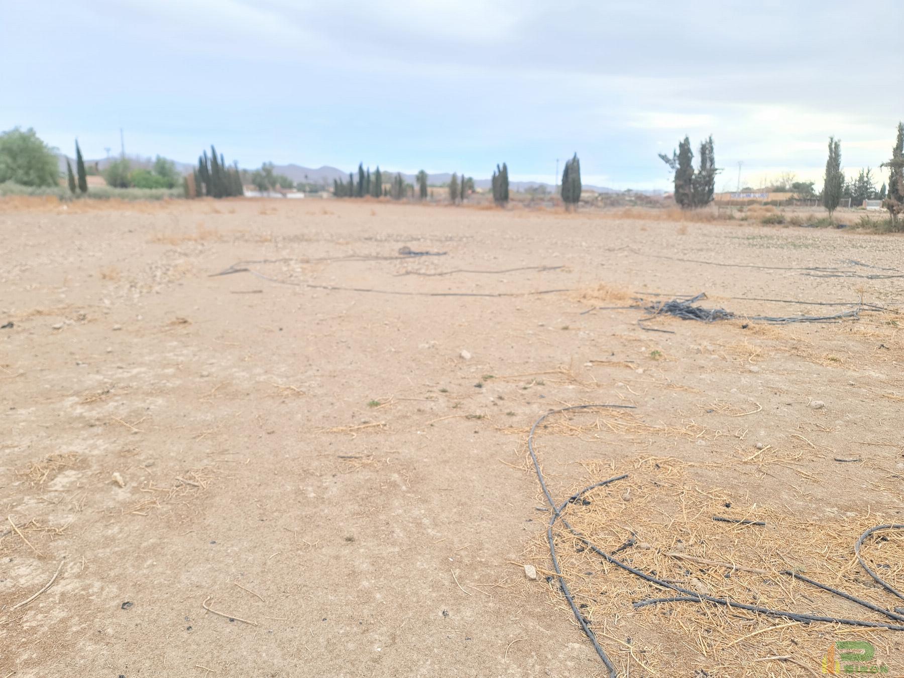 For sale of land in Lorca