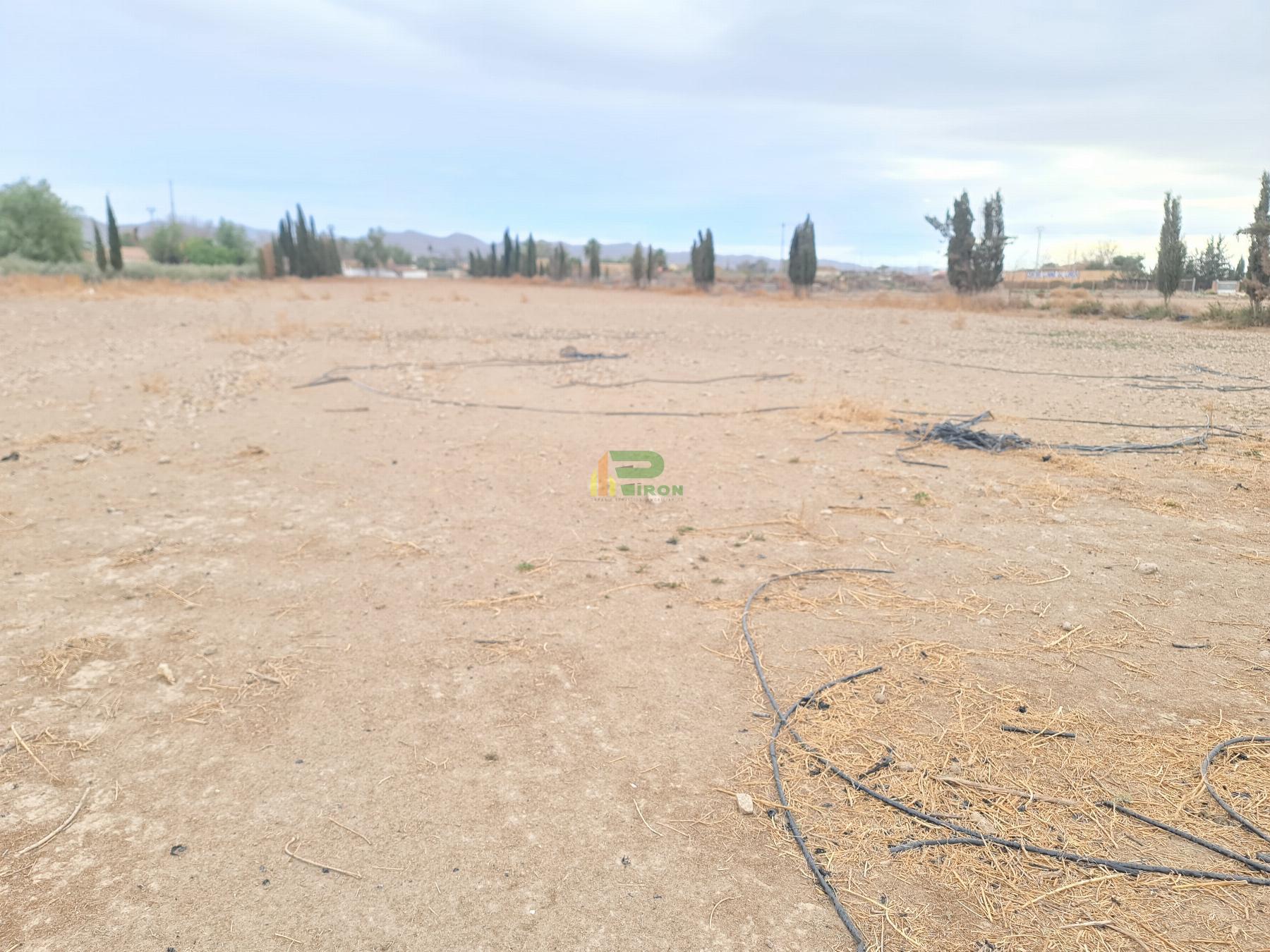 Venta de terreno en Lorca Venta de terreno en Lorca