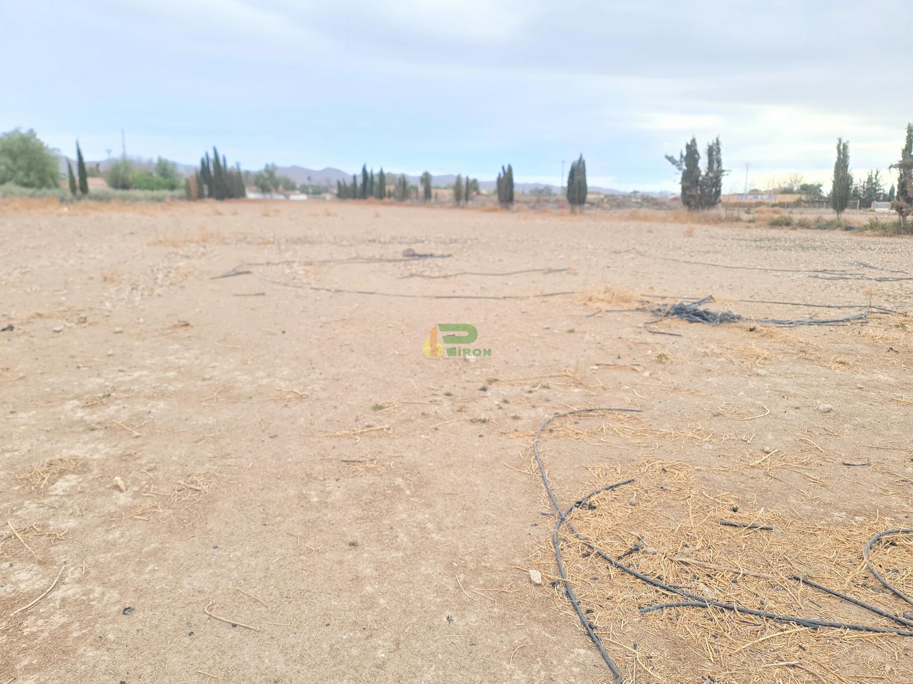 Venta de terreno en Lorca