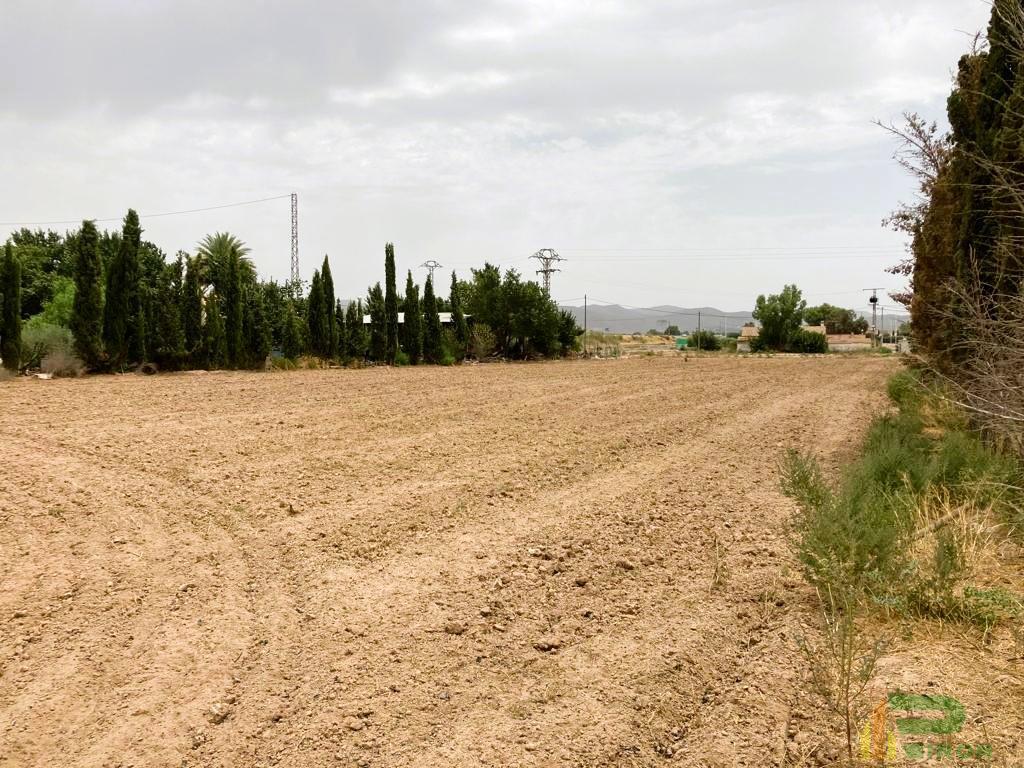 For sale of land in Lorca