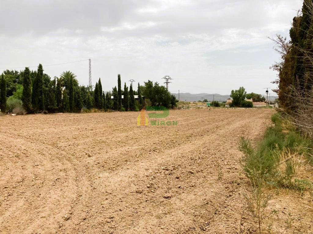 Venta de terreno en Lorca Venta de terreno en Lorca