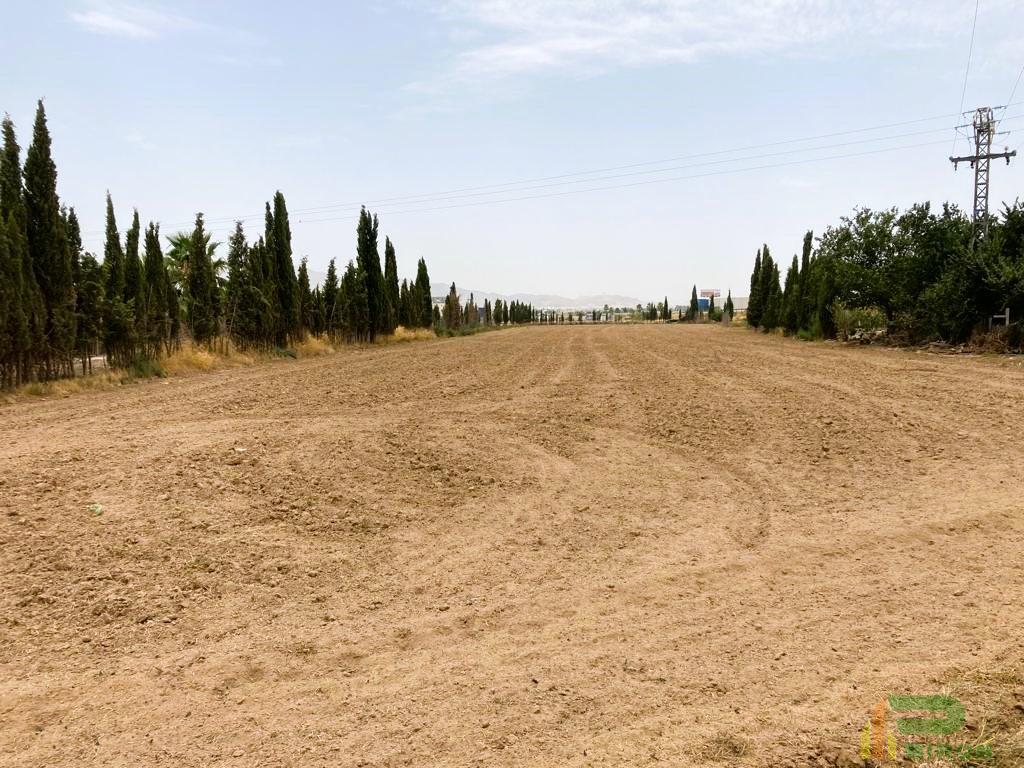 For sale of land in Lorca