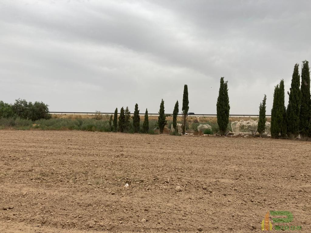 For sale of land in Lorca