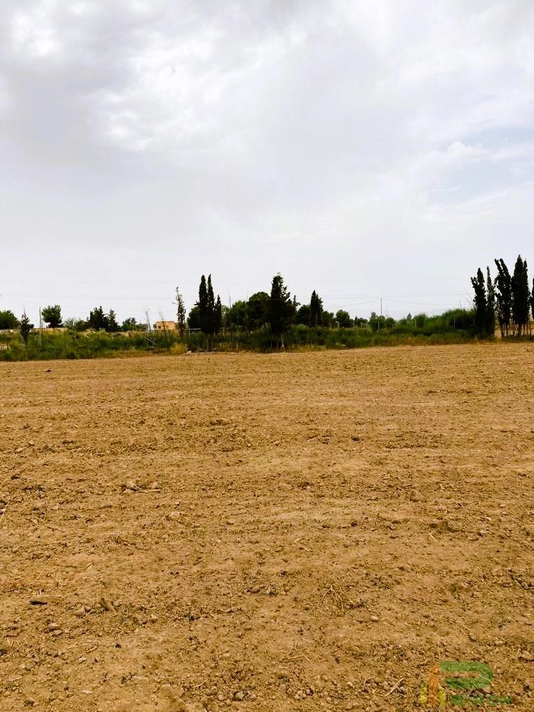 For sale of land in Lorca