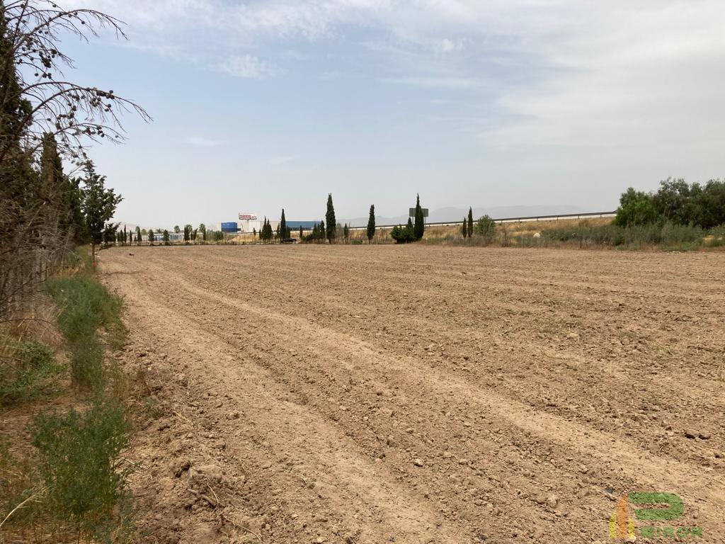 For sale of land in Lorca