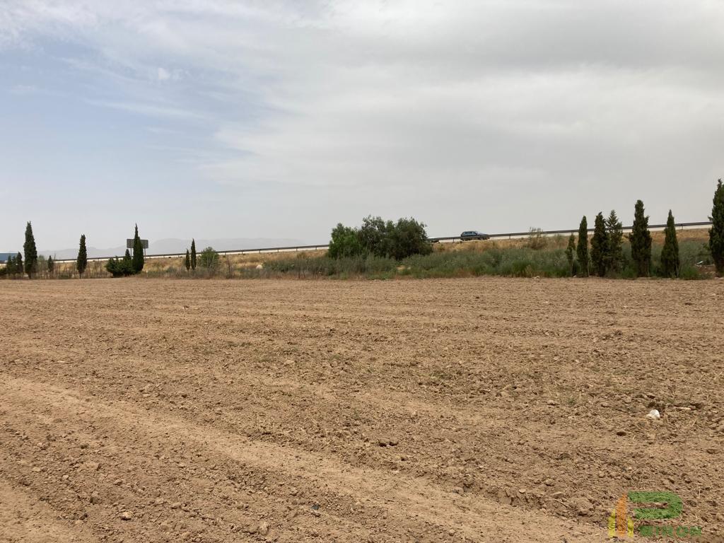 For sale of land in Lorca