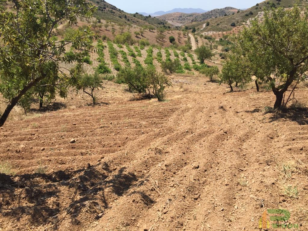 Venta de terreno en Lorca