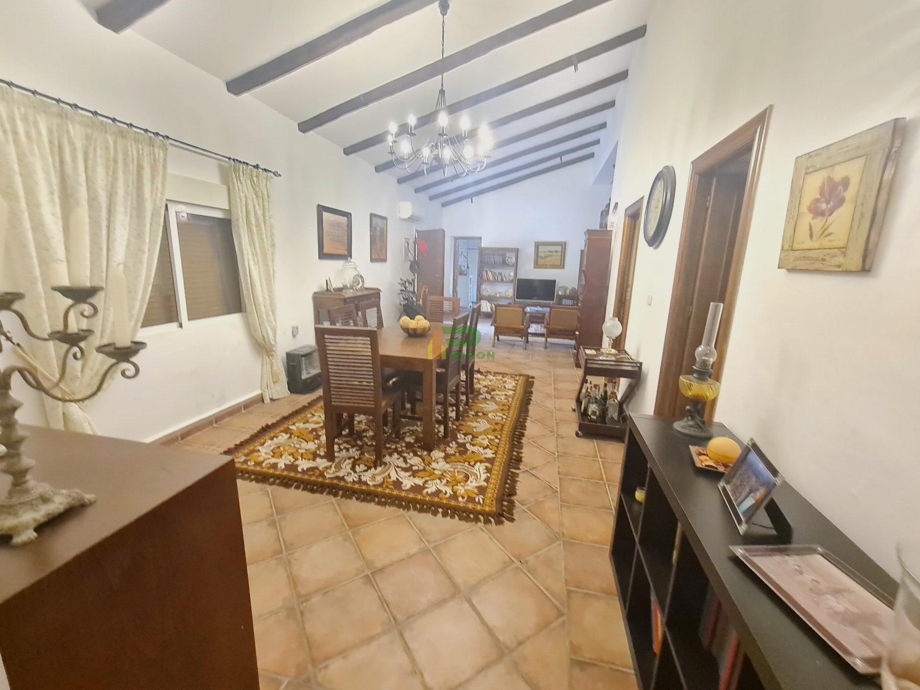 Salón Salón
