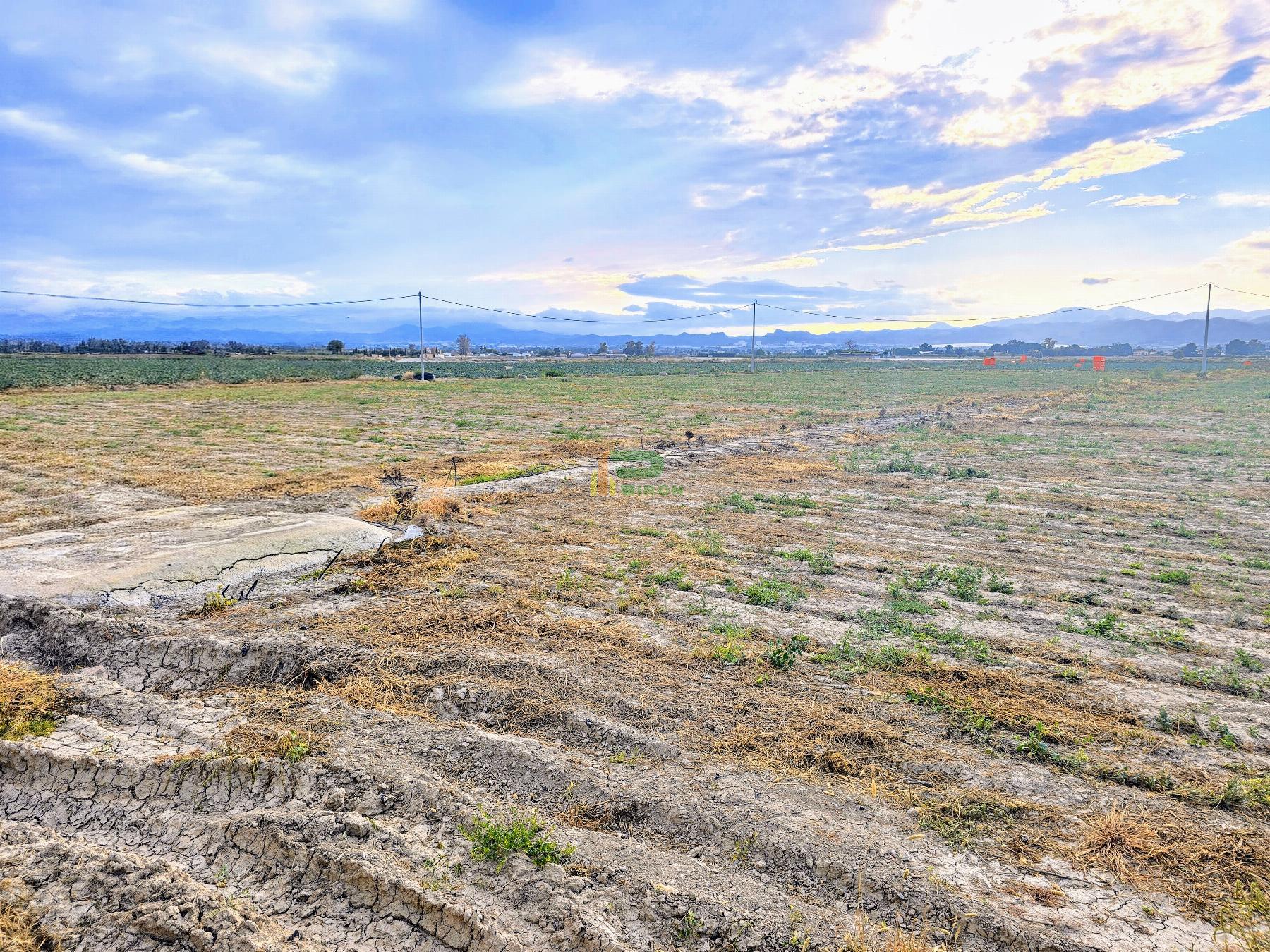 Ground