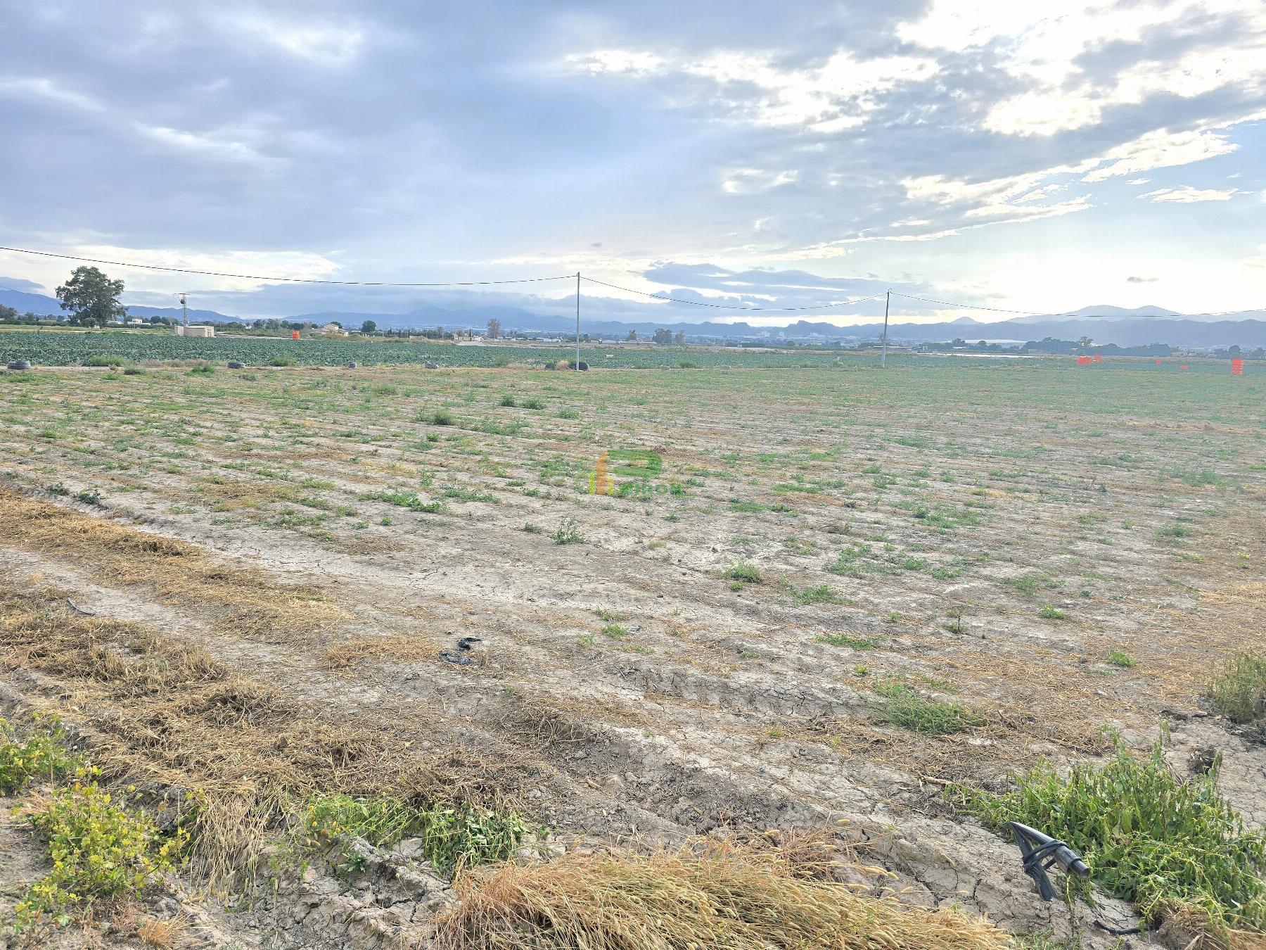 Terreno Terreno