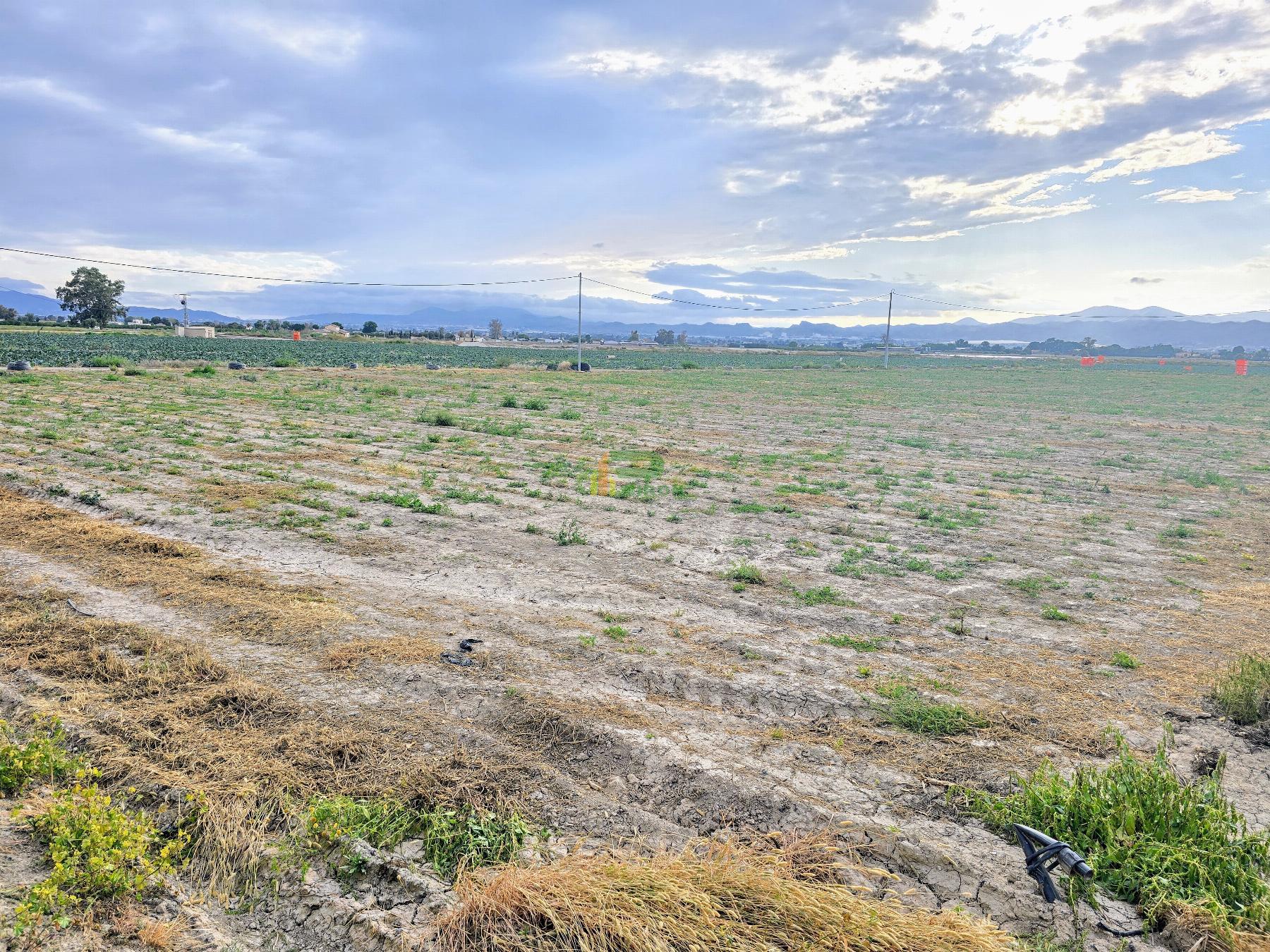 Terreno Terreno