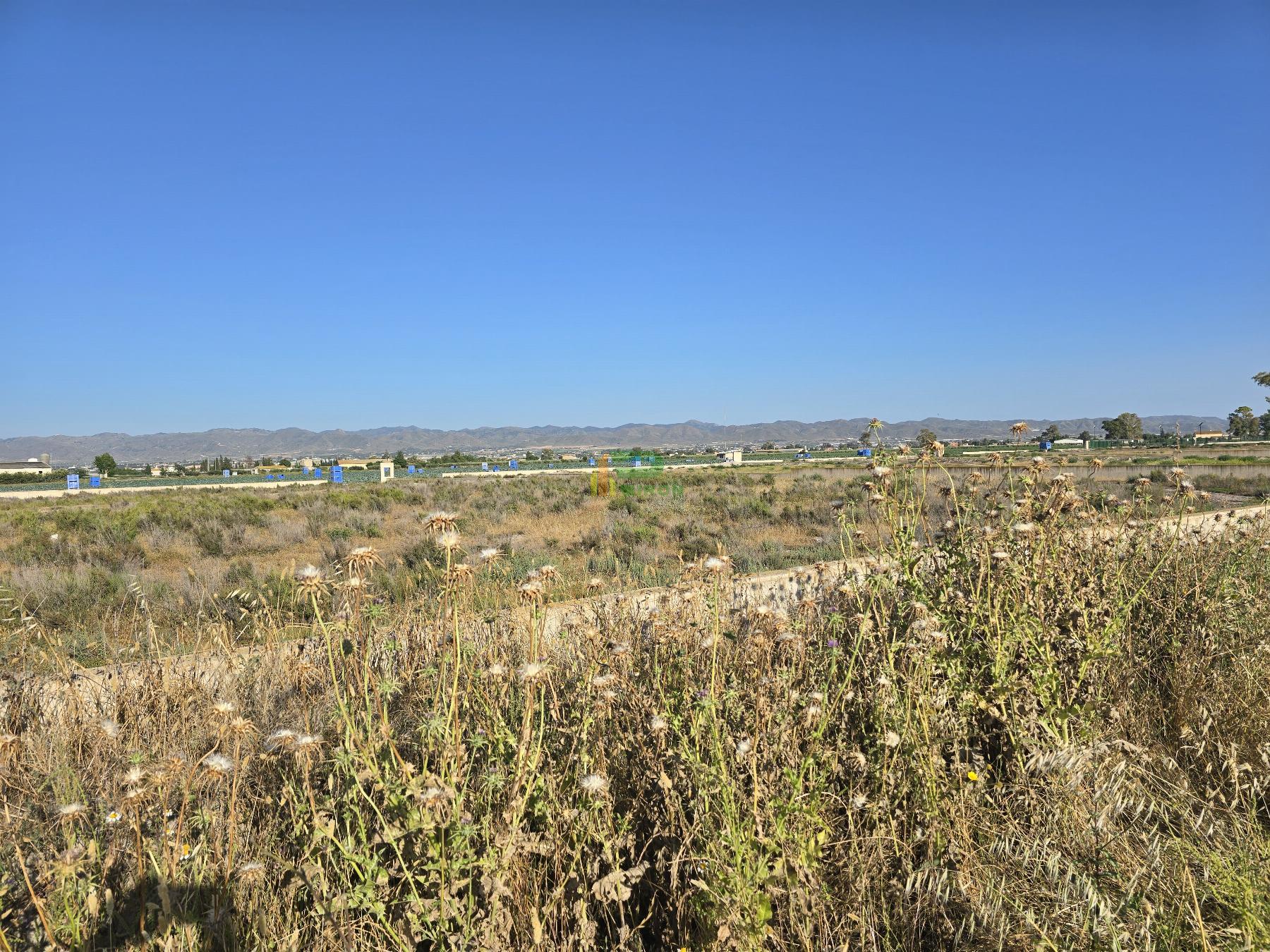 Jardín Jardín