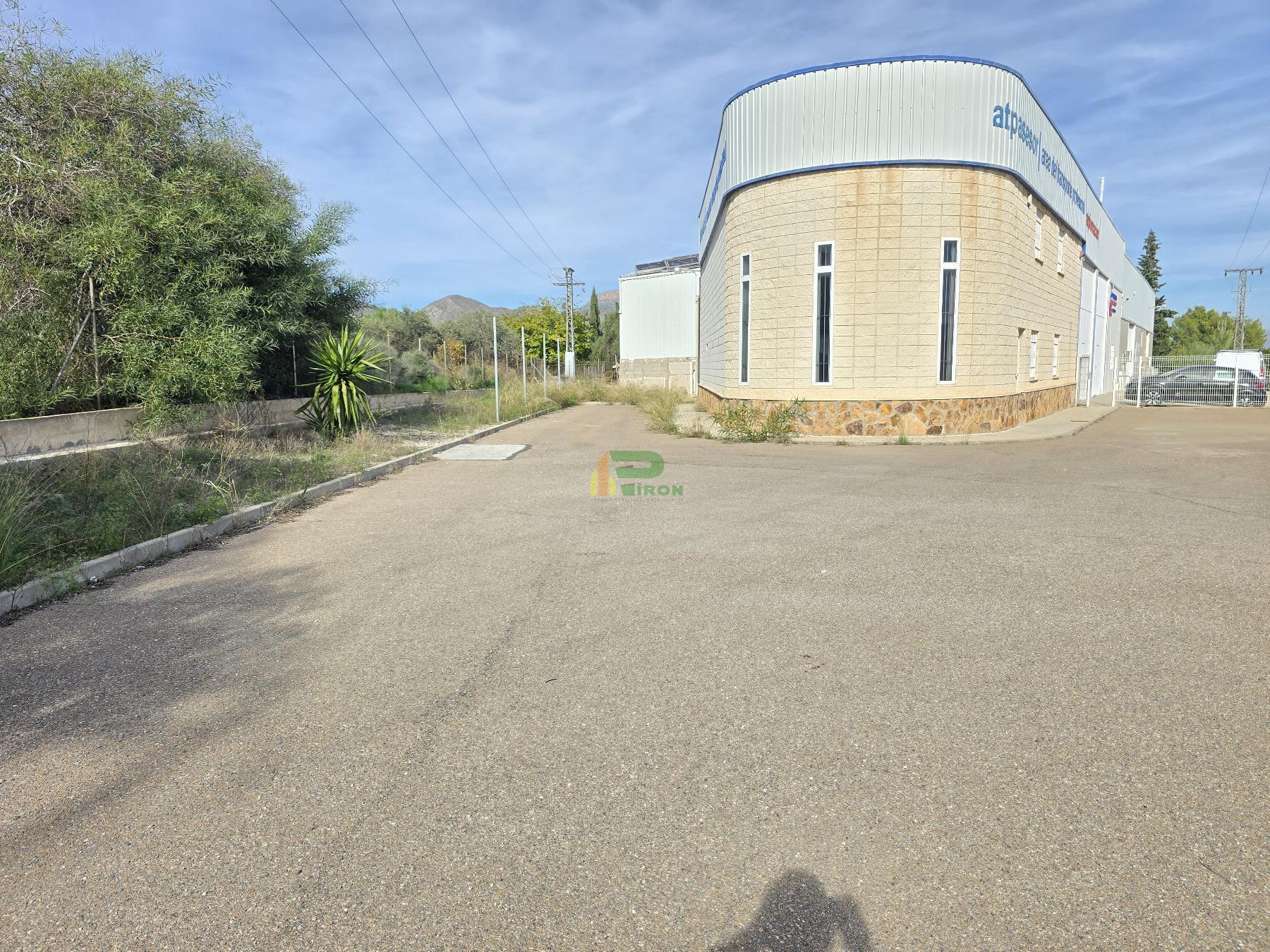 For rent of office in Lorca