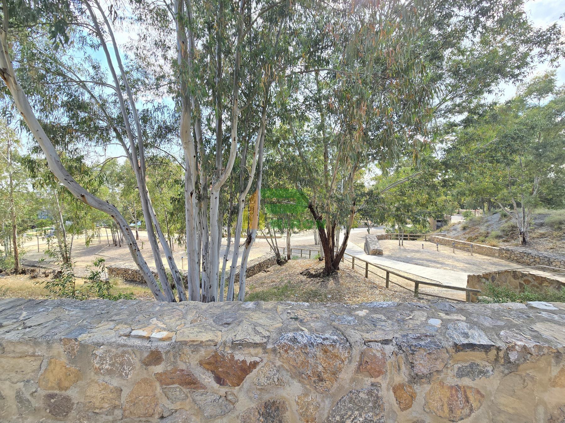 Vistas