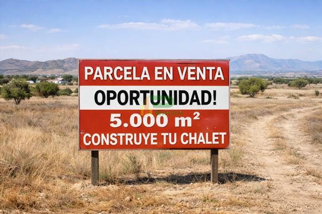 Jardín
