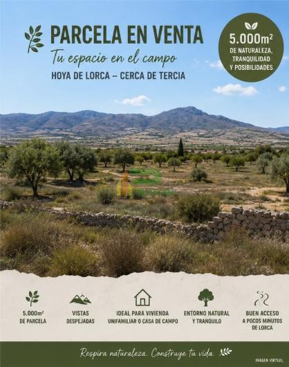 Venta de terreno en Lorca