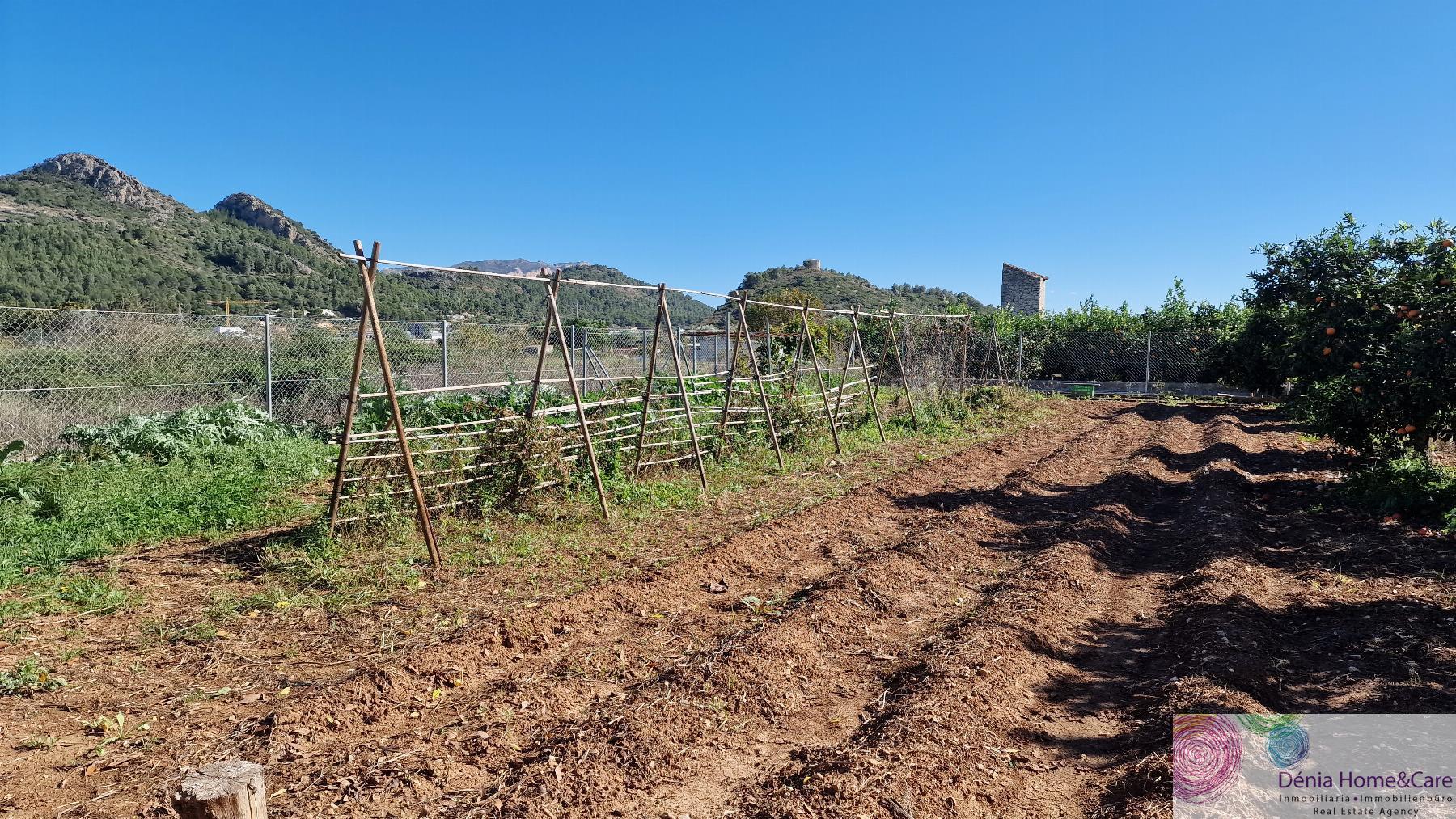 Venta de finca rústica en Pedreguer