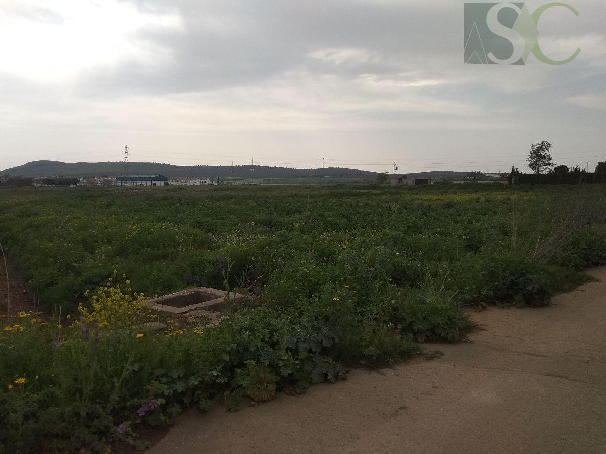 For sale of land in Bobadilla estación