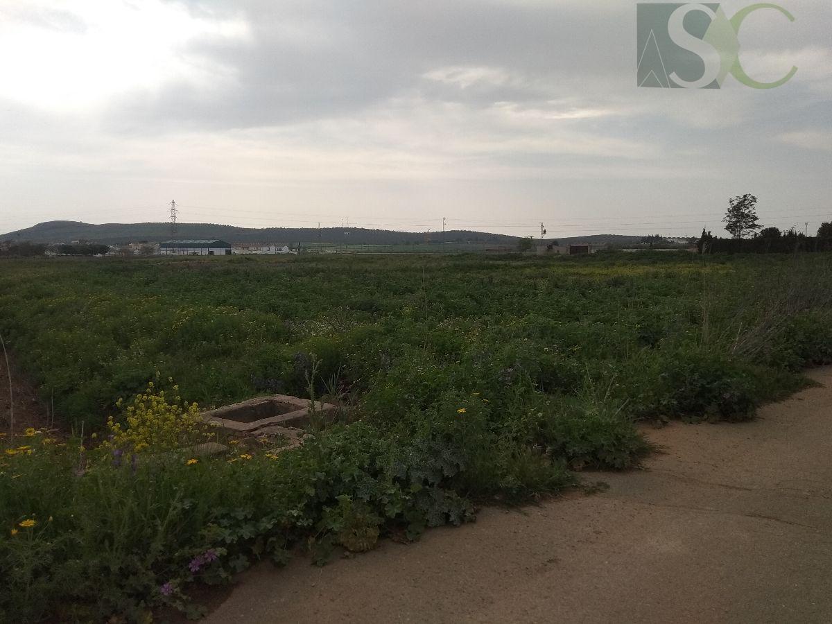 For sale of land in Bobadilla estación