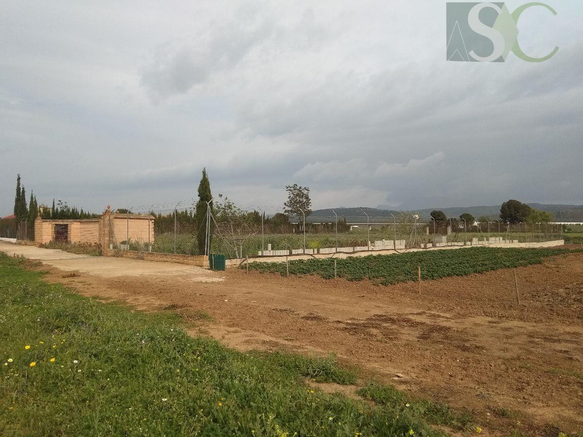 Venta de terreno en Bobadilla estación