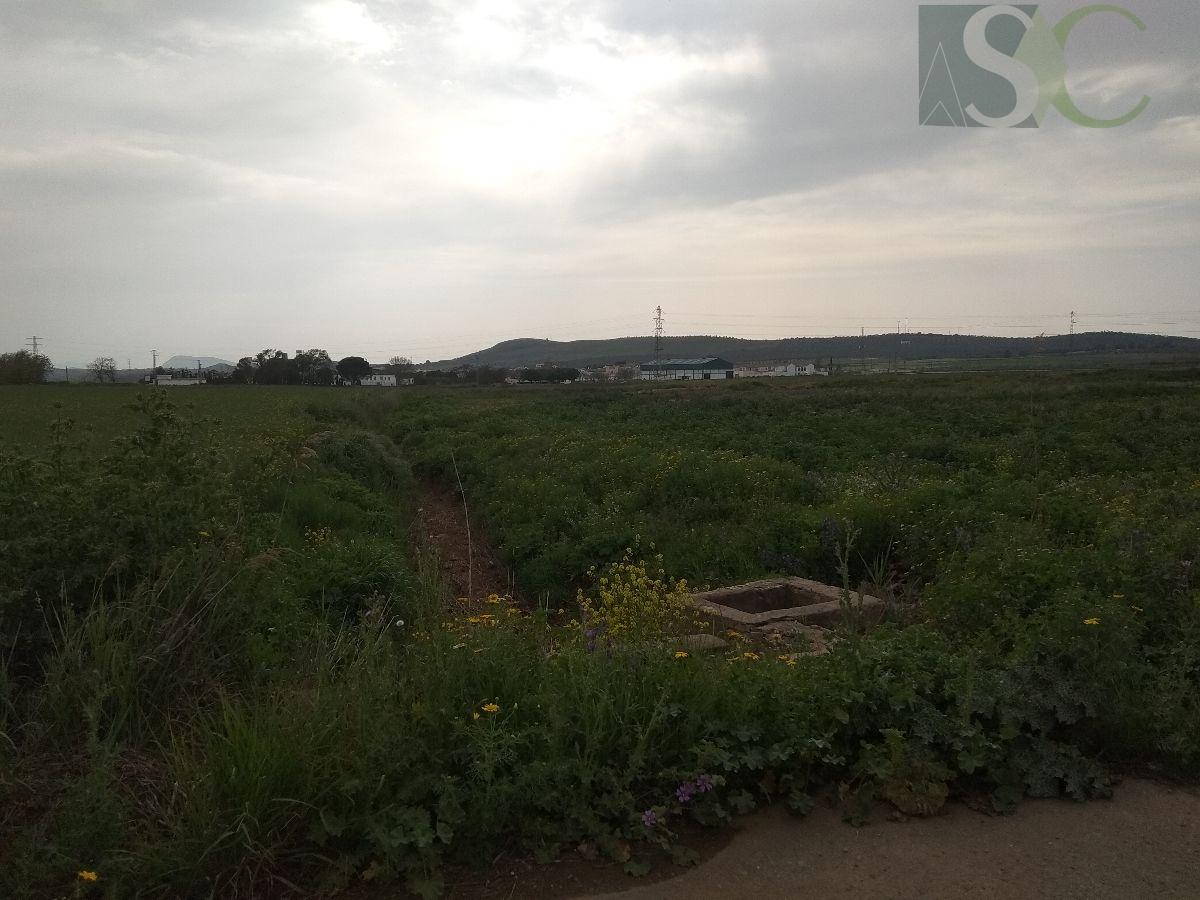 Venta de terreno en Bobadilla estación