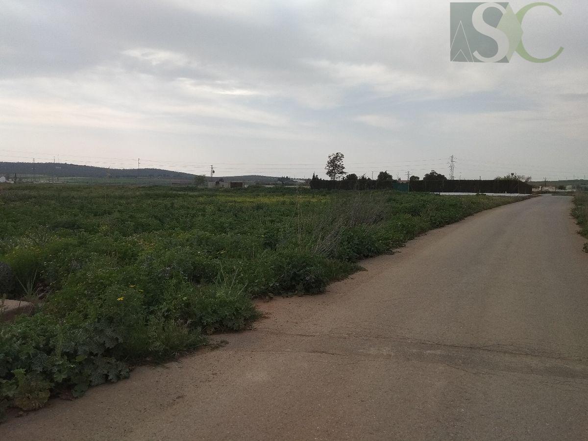 Venta de terreno en Bobadilla estación