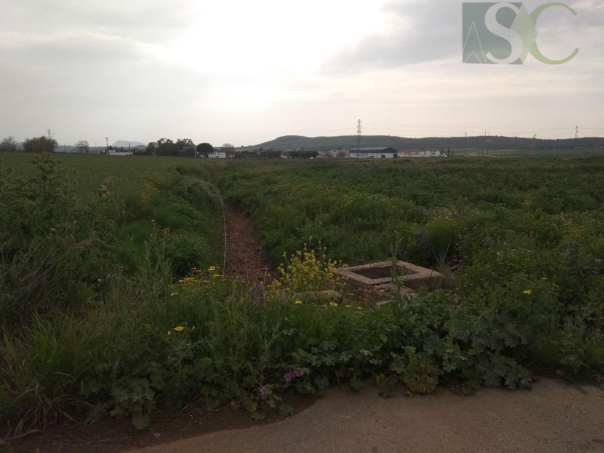 Venta de terreno en Bobadilla estación