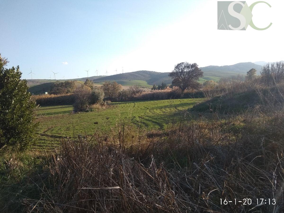 For sale of rural property in Teba