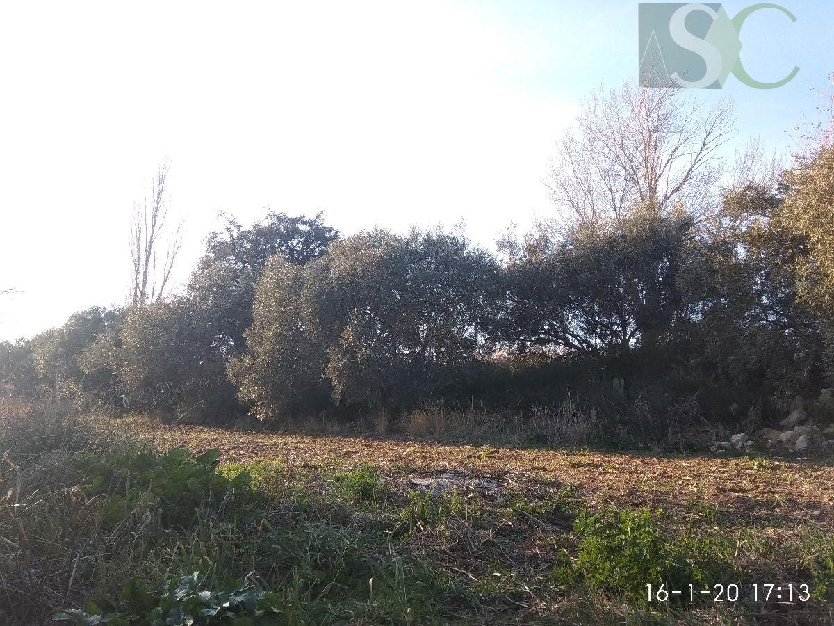 For sale of rural property in Teba