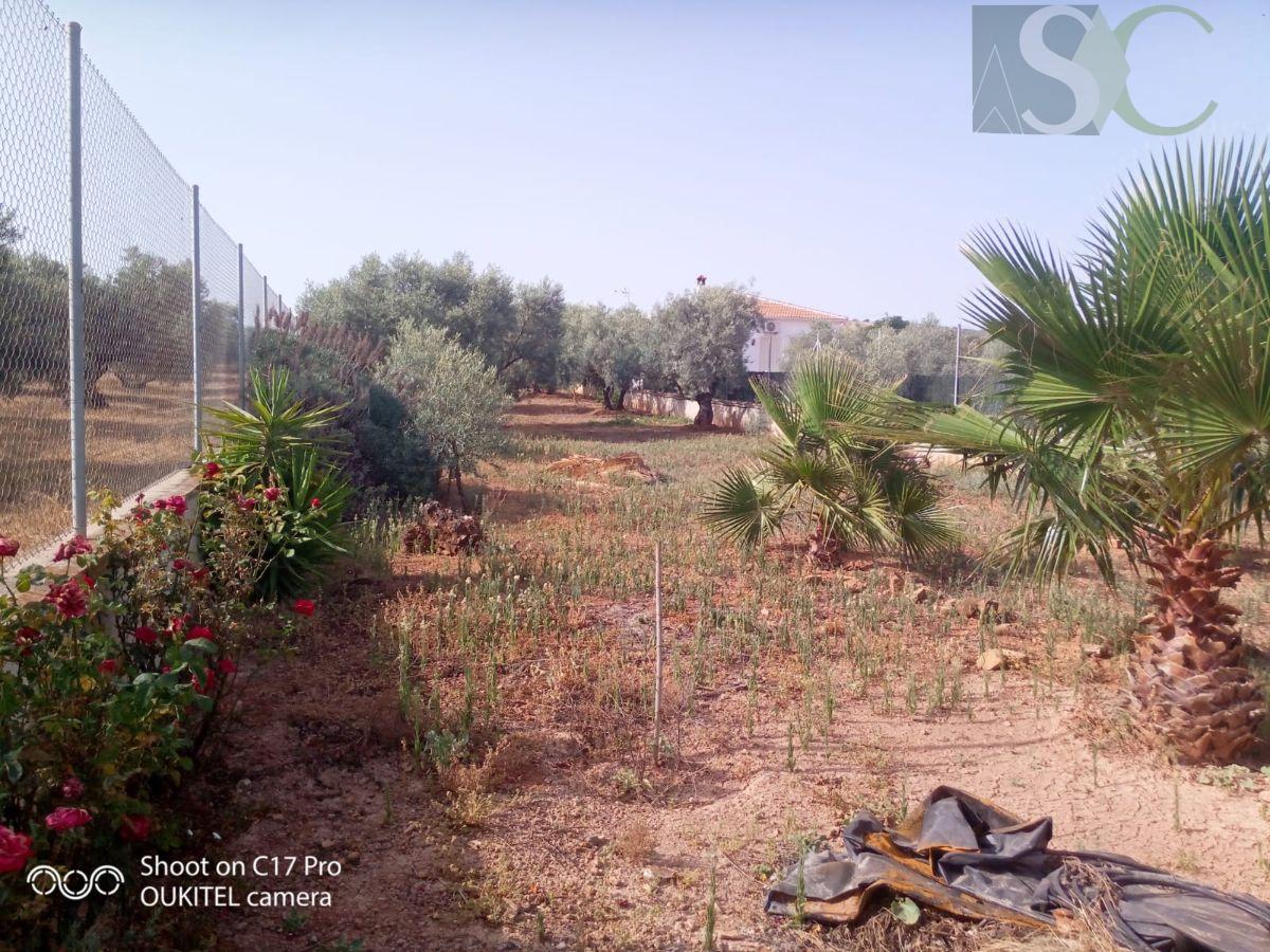 Venta de terreno en Sierra de Yeguas